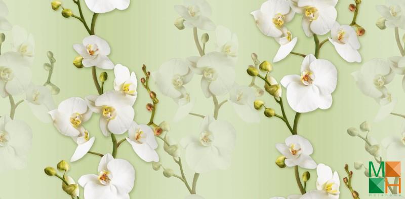 Giấy dán tường họa tiết hoa lá thi công tại Hoàng Văn Thụ, Hoàng Mai, Hà Nội 88102-4