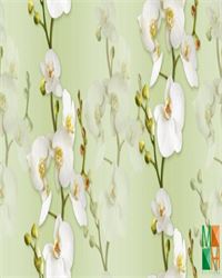 Giấy dán tường họa tiết hoa lan đẹp 88102-4